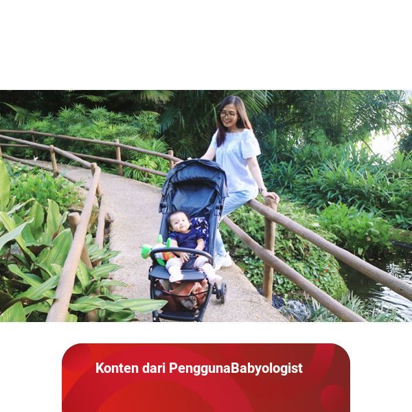 Review sales stroller cocolatte